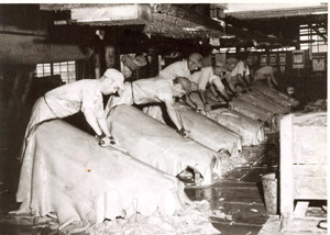 American leather tanneries