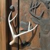nature theme carved wood door