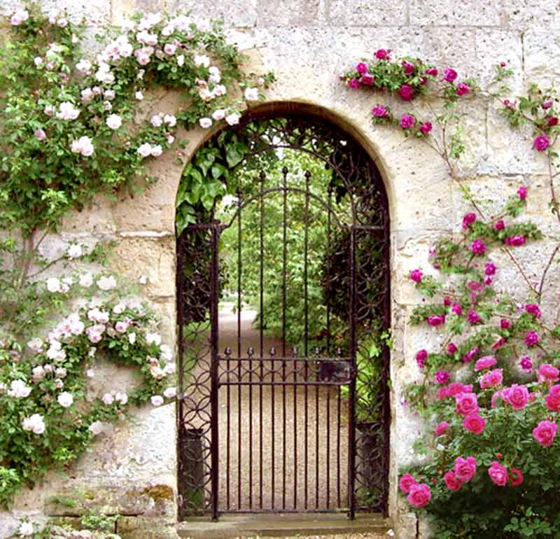 Garden Gate Iron Gates Wrought Ornamental - Garden Gates Iron