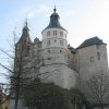 Gates - Chateau de Montbaliard 14th Cen France - GG5609