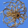 Antler Chandelier With Direct LED Down Light  - AC7519
